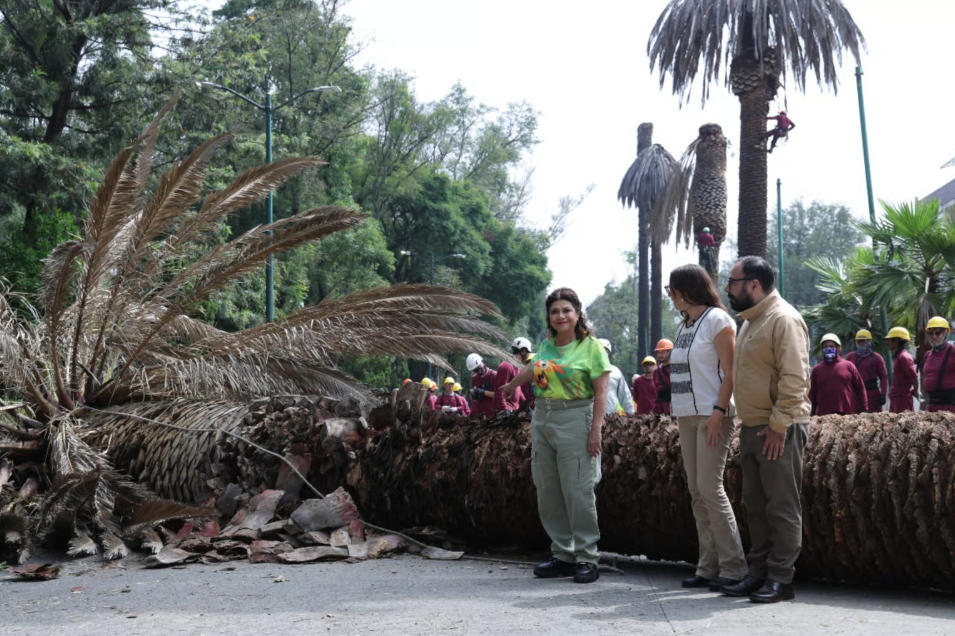 Foto: Gobierno de CDMX