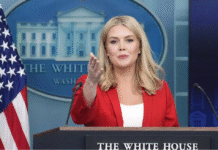 Casa Blanca asegura que Trump “tiene mucho respeto” por la Presidenta Sheinbaum Foto: EFE