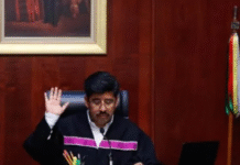 La Corte frena a Salinas Pliego: deberá pagar más de 48 mil millones al SAT Foto: REDES