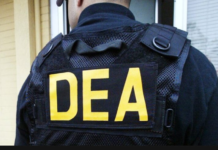 Sheinbaum exhibe caso de la DEA donde permitió entrada de fentanilo a EE.UU. foto: REDES