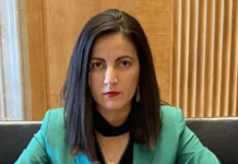 México no recibió notificación de visita de comisionada de la CIDH: SRE Foto: REDES