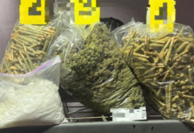 Cateos simultáneos en Anáhuac revelan centros clandestinos de droga Foto: SSC