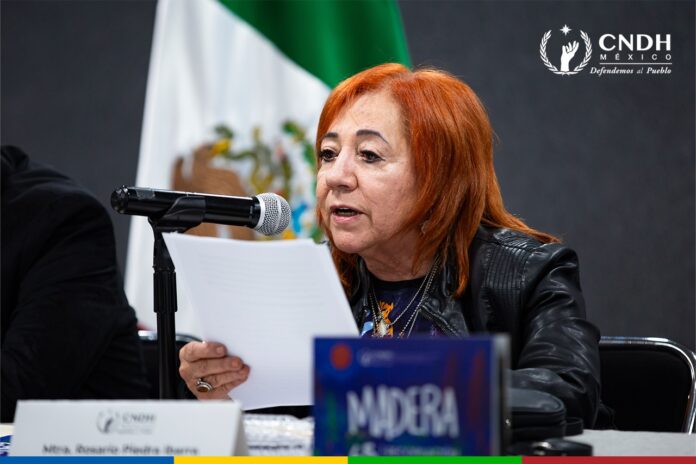 Imagen de Comisión Nacional de los Derechos Humanos (CNDH)