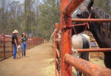 Impulsan la sanidad y calidad agroalimentaria en la Ciudad de México: un acuerdo por más de 9 millones de pesos para 2026 IMAGEN DESecretaría de Agricultura y Desarrollo Rural 23 de mayo a las 4:08 p. m. ·