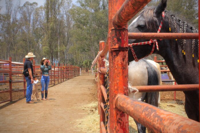 IMAGEN DESecretaría de Agricultura y Desarrollo Rural﻿ 23 de mayo a las 4:08 p. m. ·