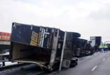 «Volcadura de tráiler en Oceanía provoca saqueo de limas y naranjas» Foto: REDES