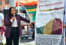 Carmen de la Rosa se perfila como la aspirante más competitiva de Morena en Nezahualcóyotl Foto: Carmen de la Rosa