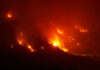 Potente incendio forestal azota la Columbia Británica de Canadá