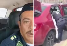Policía de la SSC de la CDMX salva a mujer en labor de parto luego de que taxista entrara en pánico en plena vía (VIDEO)