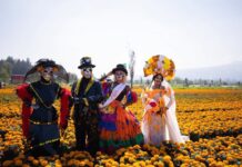 Gobierno CDMX anuncia 5 mil actividades por Día de Muertos; se buscará récord Guinness con catrina monumental